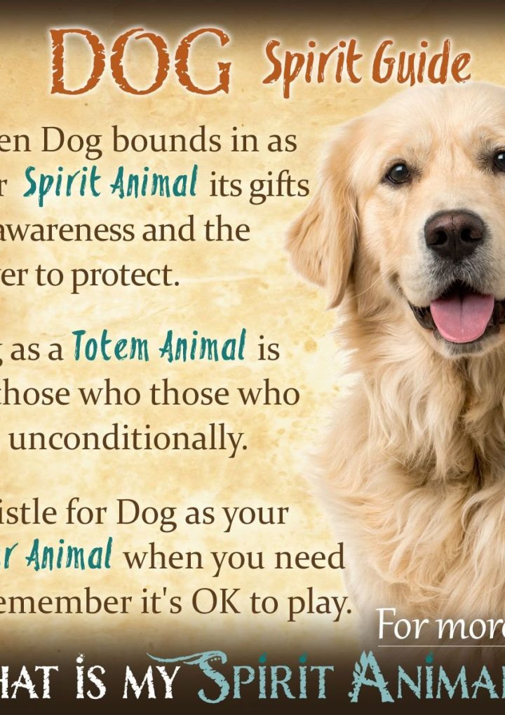 Unveiling The Spiritual Meaning Behind A Dog Barking At You