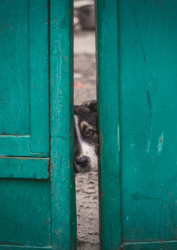 Is UP Home Guard PET 2026 the Best Postponement Ever?